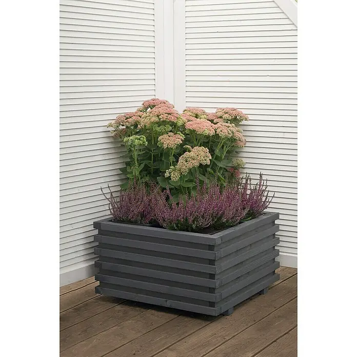 Pflanzkasten Torino - Außenmaß (L x B x H): 59 x 59 x 34 cm, Holz, Grau - Eine graue Holzkiste mit rosa und lila Blumen vor einem weißen Holzzaun. Der Holzkübel ist mit einer schönen Bepflanzung versehen.