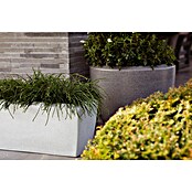 Capi Europe Cubremaceta redondo (Dimensiones externas (Ø x Al): 60 x 48 cm, Antracita, Plástico, Mate) | BAUHAUS