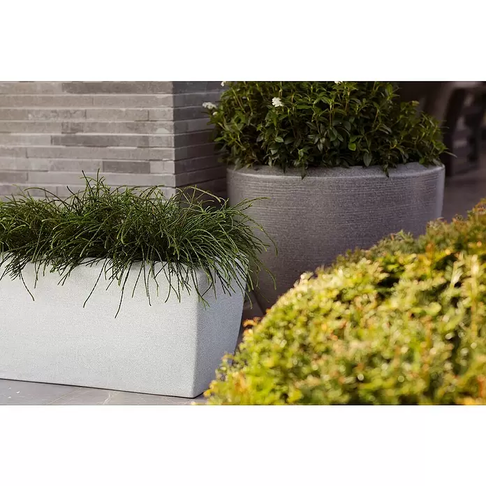 Capi Europe Cubremaceta redondo - Dimensiones externas (Ø x Al): 60 x 48 cm, Antracita, Plástico, Mate - Jardinera rectangular gris claro con planta verde, en un patio junto a otras jardineras grises.