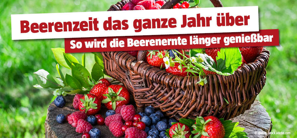 Beeren verarbeiten