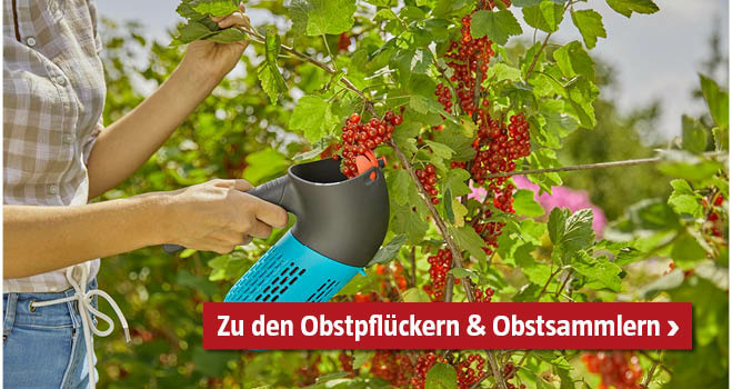 Obstpflücker und Obstsammler