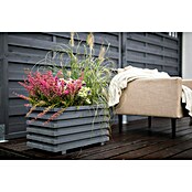 Macetero para plantas Torino (Dimensiones externas (L x An x Al): 59 x 34 x 34 cm, Madera, Gris) | BAUHAUS