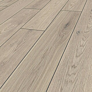 LOGOCLIC Vinto Laminat Classic Eiche Nassau (1.288 x 195 x 8 mm, Landhausdiele, Eiche Nassau)