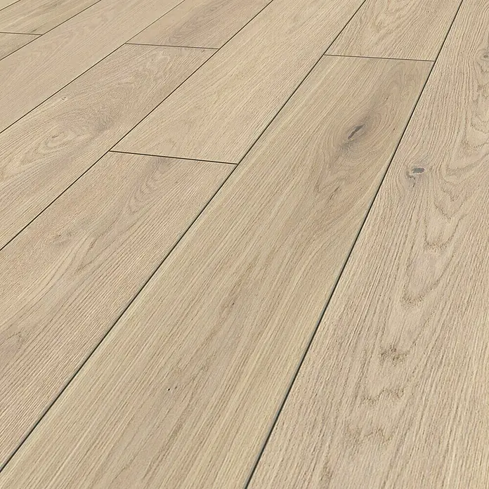 LOGOCLIC Vinto Laminat Classic - Eiche Cornsilk, Landhausdiele, 1.288 x 195 x 8 mm - Nahaufnahme von hellem Holzparkett, das eine natürliche und elegante Textur zeigt, ideal für moderne Innenräume.