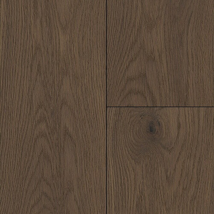 LOGOCLIC Vinto Laminat Classic Eiche Cocoa (1.288 x 195 x 8 mm, Landhausdiele, Eiche Cocoa) | BAUHAUS