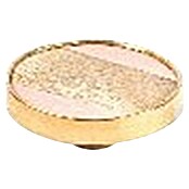 Rei Pomo para muebles (Diámetro: 40 mm, Beige, Brillante, 2 ud.) | BAUHAUS