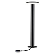Paulmann Plug & Shine LED-Außenleuchte (1-flammig, 6 W, Warmweiß, IP44)