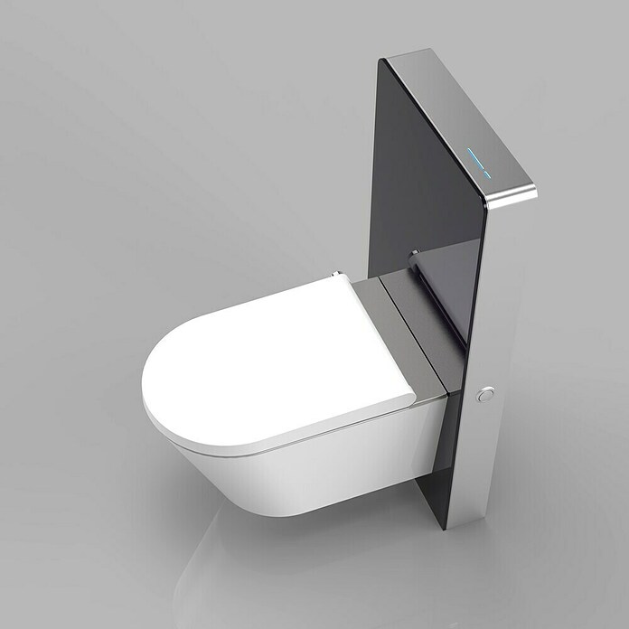 Sanitärmodul für Wand-WC