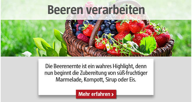 Beeren verarbeiten