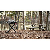 Weber Plinski žar Traveler Compact  (Površina za peko (Š x G): 52 x 36 cm, 3,2 kW, Število gorilnikov: 1 kos) | Električni žari | Žari | Vrt in prosti čas | Izdelki | BAUHAUS