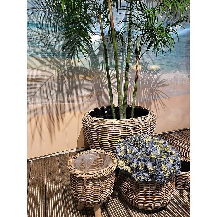 Van der Leeden Pflanzkorb (Ø x H: 41 x 54 cm, Rattan, Braun) | BAUHAUS