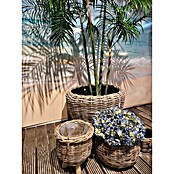 Van der Leeden Pflanzkorb (Ø x H: 41 x 54 cm, Rattan, Braun) | BAUHAUS
