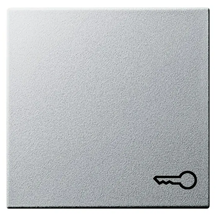 Gira System 55 Universalwippe 028726 - Mit Symbol Schlüssel, Alu, Kunststoff - Ein silberner Schlüsselanhänger mit einer einfachen, aber effektiven Schlüsselgrafik, ideal für Schlüsselorganisation und Stil.
