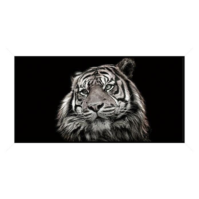 Cuadro enmarcado la cara del tigre (The face of the tiger, 111 x 61 cm)