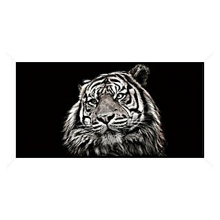 Cuadro la cara del tigre (The face of the tiger, An x Al: 111 x 61 cm)