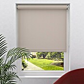 Expo Ambiente Rolo  (Š x V: 80 x 275 cm, Krem, Univerzalen, Prepustnost za dnevno svetlobo) | 6443 - Textil-Rollos | HDDA - Fenster-Sonnenschutz | HDD - Sonnenschutz | HD - Ambiente | H - Innendeko/Farben | BAUHAUS