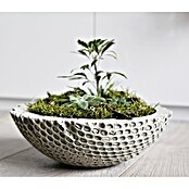 Ultrament Beton-Gießmasse Bastel Beton (Hellgrau, 6 kg) | BAUHAUS