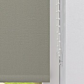 Expo Ambiente Zatemnitveni rolo  (Š x V: 150 x 190 cm, Univerzalen) | 6443 - Textil-Rollos | HDDA - Fenster-Sonnenschutz | HDD - Sonnenschutz | HD - Ambiente | H - Innendeko/Farben | BAUHAUS