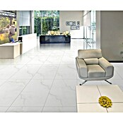 Feinsteinzeugfliese (60 x 120 cm, Weiß/Grau, Poliert)