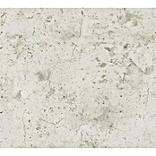 AS Creation New Walls Vliestapete (Grau, Betonoptik, 10,05 x 0,53 m)