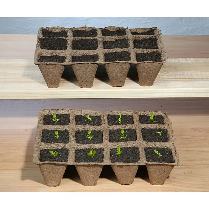 Floraworld Classic Anzuchttopf Set - 3 -tlg., 16 x 12 cm, Natur - Zwei Kartons mit Anzuchterde, der untere Karton enthält Setzlinge.