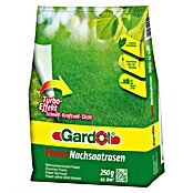 Gardol Nachsaat-Rasen (250 g, Inhalt ausreichend für ca.: 8 m²)