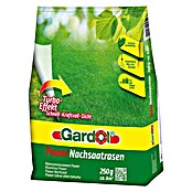 Gardol Nachsaat-Rasen Power (250 g, Inhalt ausreichend für ca.: 8 m²)