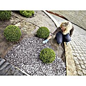 Gardol Premium Unkrautvlies (Polypropylen, 15 x 1 m)