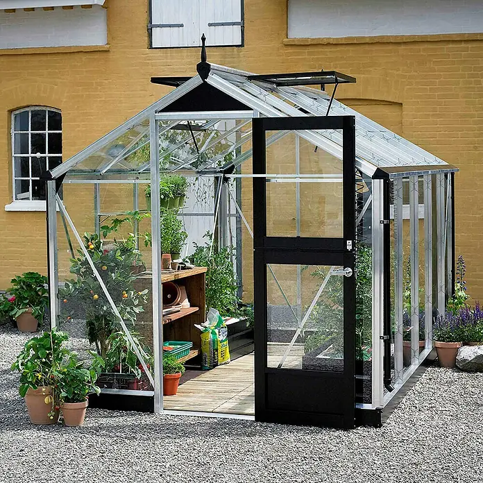 Juliana Gewächshaus Compact - Außenmaß inkl. Dachüberstand (B x T): 224 x 368 cm, Material Seitenwand: Glas, 3 mm, Silber/Schwarz - Ein Gewächshaus mit Pflanzen drin und einer offenen Tür, die den Einblick ermöglicht.