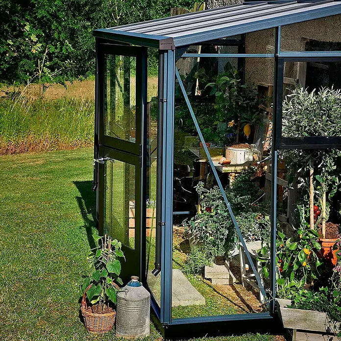 Juliana Gewächshaus Veranda - Außenmaß inkl. Dachüberstand (B x T): 296 x 149 cm, Material Seitenwand: Glas, 3 mm, Anthrazit - Nahaufnahme eines Gewächshauses mit Pflanzen, die drinnen wachsen, mit einer offenen Tür, durch die man die Pflanzen sehen kann.
