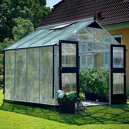 Juliana  Gewächshaus Premium