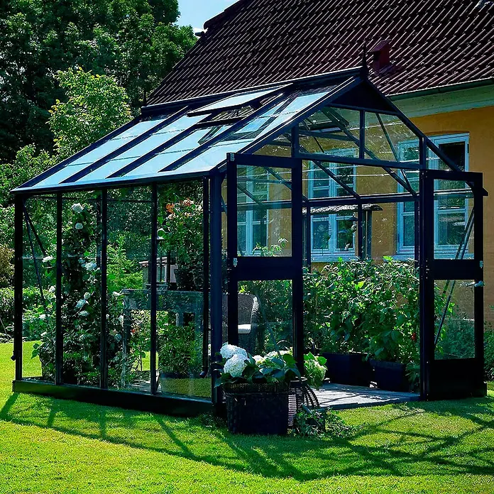 Juliana Gewächshaus Premium - Außenmaß inkl. Dachüberstand (B x T): 296 x 296 cm, Material Seitenwand: Glas, 3 mm, Anthrazit/Schwarz - Das Bild zeigt ein Gewächshaus mit Pflanzen darin, das auf einem Rasen vor einem Haus steht.