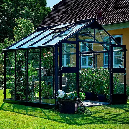 Juliana  Gewächshaus Premium