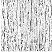 Kunstglas (142 cm x 53,5 cm x 5 mm, Baumrinde, Polystyrol)