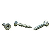 Sarei Rinnenträgerschraube (Durchmesser: 6 mm, Länge: 30 mm, Stahl, Verzinkt)