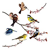 Komar Fenstersticker (Birds, Bunt, 31 x 31 cm)