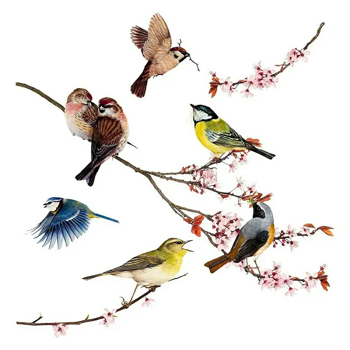 Komar Fenstersticker Birds - Bunt, 31 x 31 cm - Aquarellbild mit mehreren bunten Vögeln auf blühenden Ästen, eine lebendige Darstellung der Vogelwelt und des Frühlings.