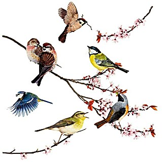 Komar Fenstersticker (Birds, Bunt, 31 x 31 cm)
