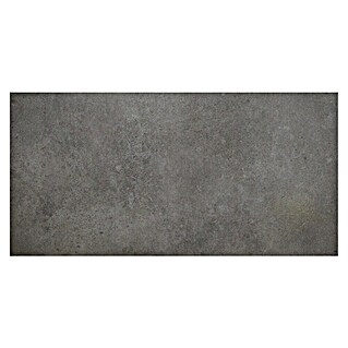 Art-Tec by Palazzo Keramische tegel (30 x 60 cm, Grafiet, Mat)