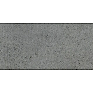 Art-Tec by Palazzo Keramische tegel (30 x 60 cm, Steel, Glanzend)