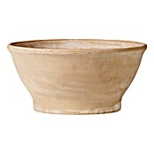 Deroma White Garden Pflanzschale Ciotola Liscia (Terracotta, Ø x H: 23 x 11,5 cm, Tonweiß)