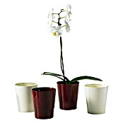 SK Tegla za orhideju Merina (Ø x V: 10 x 12 cm, Vanilla, Sjajno)