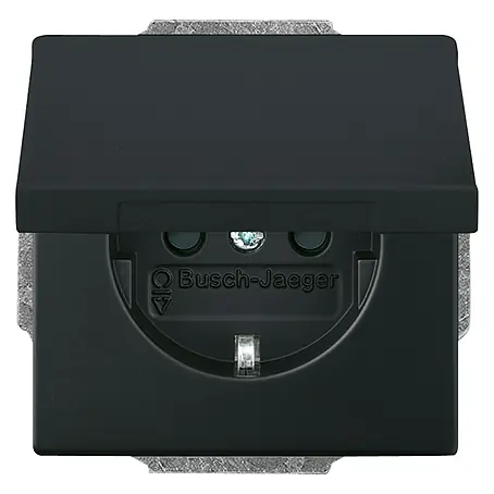 Busch-Jaeger Future Linear Klappdeckelsteckdose 20 EUK-885