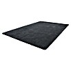 Hochflorteppich Super Soft Shaggy (Graphit, 170 x 120 cm, 100 % Polyester (Flor))