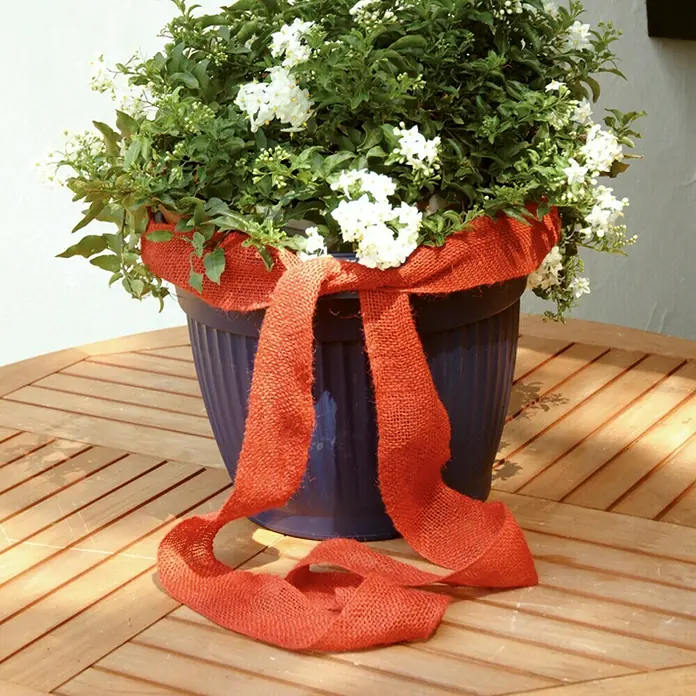 Floraworld Classic Jutegewebeband - Rot, 300 x 6 cm - Topfpflanze mit weißen Blüten und roter Schleife auf einem Holztisch, die eine dekorative und natürliche Note verleiht.