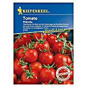 Kiepenkerl Profi-Line Tomate Philovita  (Lycopersicon esculentum, Inhalt: 6 Korn)