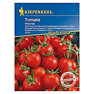 Kiepenkerl Profi-Line Gemüsesamen Tomate Philovita (Lycopersicon esculentum, Erntezeit: Juli)