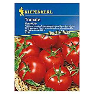 Kiepenkerl Profi-Line Gemüsesamen Tomate Harzfeuer (Lycopersicon esculentum, Erntezeit: Juli)
