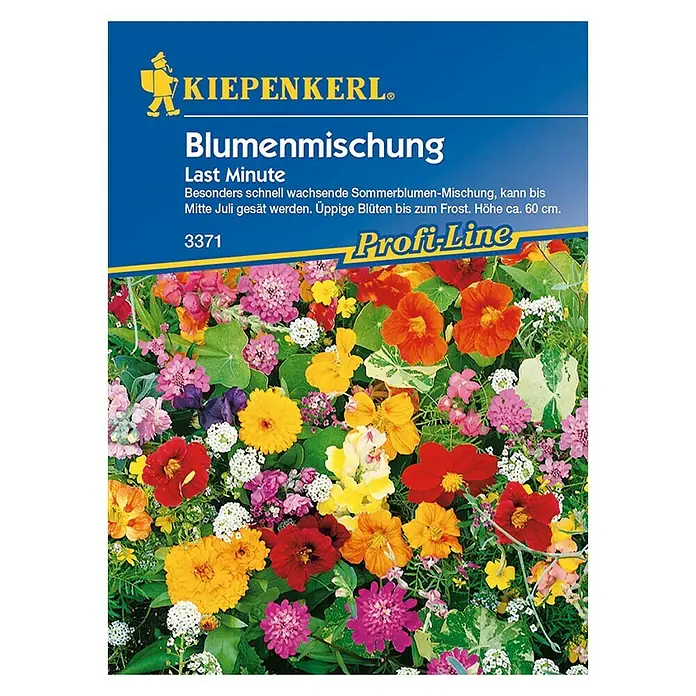Kiepenkerl Profi-Line Blumensamenmischung Last Minute - Verschiedene Sorten, Blütezeit: Juli, 4 m² - Blumenmischung "Last Minute" von Kiepenkerl. Schnellwachsende Sommerblumen für üppige Blüten bis zum Frost, Höhe ca. 60 cm.