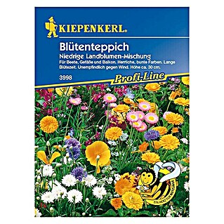 Kiepenkerl Profi-Line Blumensamenmischung Blütenteppich (Verschiedene Sorten, Blütezeit: Juni, 2 m²)